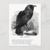 The Raven by Edgar Allen Poe Postkarte (Vorderseite)