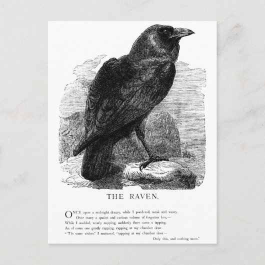 The Raven by Edgar Allen Poe Postkarte (Vorderseite)
