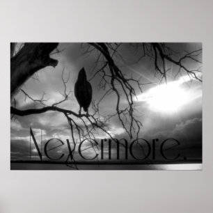 The Raven Poster - Nevermore Sunams Tree B&W