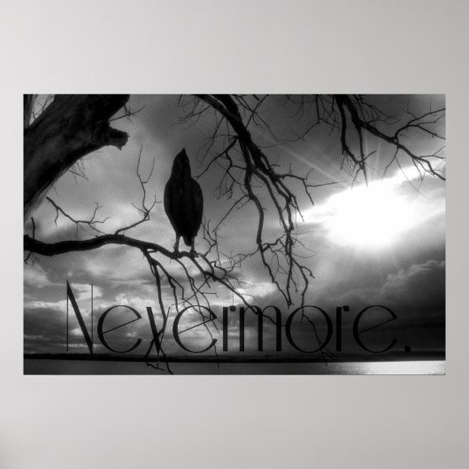 The Raven Poster - Nevermore Sunams Tree B&W (Vorne)