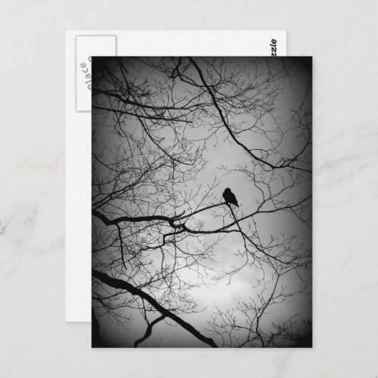 The Raven Postkarte (Vorne/Hinten)