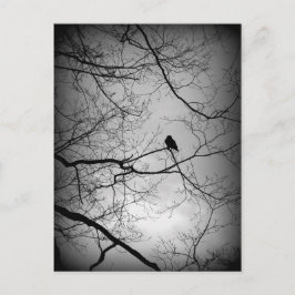 The Raven Postkarte