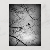 The Raven Postkarte (Vorderseite)
