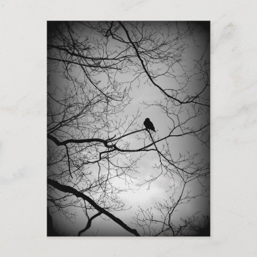 The Raven Postkarte (Vorderseite)