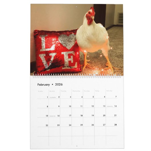 The Real Boo the Roo 2020 Calendar Kalender (Feb 2026)