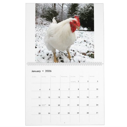 The Real Boo the Roo 2020 Calendar Kalender (Jan 2026)