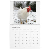 The Real Boo the Roo 2020 Calendar Kalender (Jan 2027)