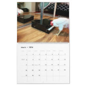 The Real Boo the Roo 2021 große Kalender (Mär 2026)