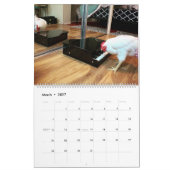 The Real Boo the Roo 2021 große Kalender (Mär 2027)