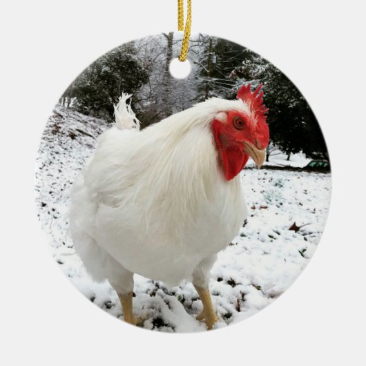 The Real Boo the Roo Weihnachtsschmuck (Vorne)