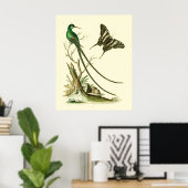 The Red-billed Streamertail Hummingbird Poster (Heimbüro)