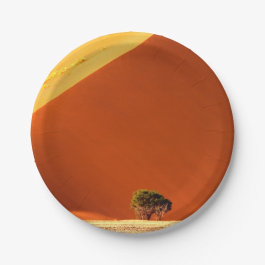 The Red dunes of Sossusvlei Pappteller (Vorderseite)