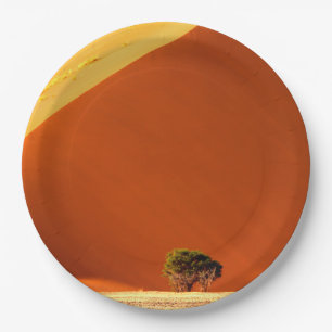 The Red dunes of Sossusvlei Pappteller