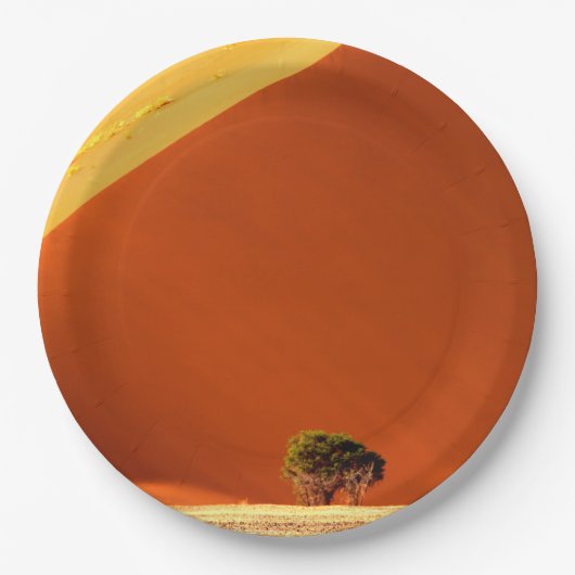 The Red dunes of Sossusvlei Pappteller (Vorderseite)