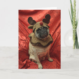 the Red Nose Pug Feiertagskarte