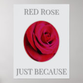 THE RED Rose Poster (Vorne)