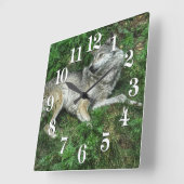 The Resting Grey Wolf 2 Wildlife Clock Quadratische Wanduhr (Winkel)