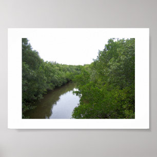 The River Green Australia Color Fotografy Poster