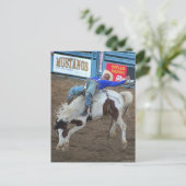 The Rodeo Collection - Wilder Rad Postkarte (Stehend Vorderseite)