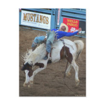 The Rodeo Collection - Wilder Rad