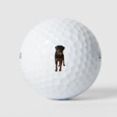 The Rottweiler Golfball (Vorderseite)
