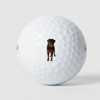 The Rottweiler Golfball