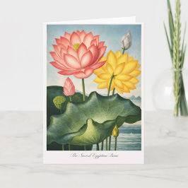 The Sacred Egyptian Bean — Modern Botanical Karte