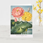 The Sacred Egyptian Bean — Modern Botanical Karte (Gelbe Blume)