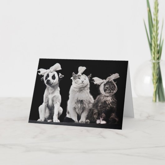 The Sad Trio Karte (Vorderseite)