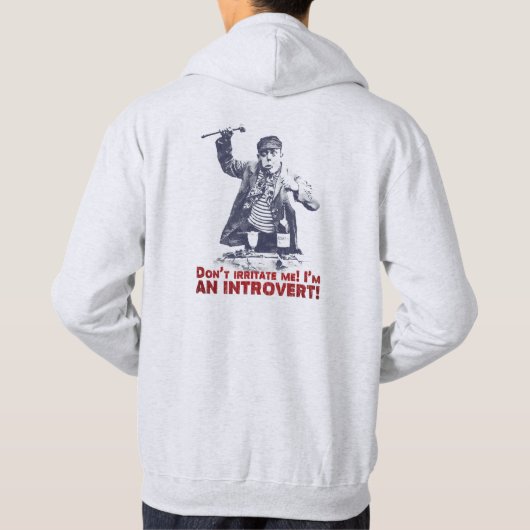 The Sanctum "Don't Irritate Me! I'm an Introvert" Hoodie (Rückseite)