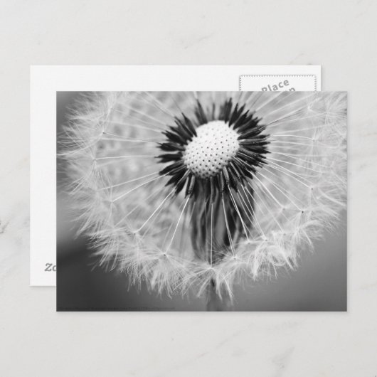 The Seeds of Tomorrow Postkarte (Vorne/Hinten)