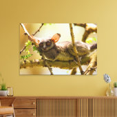 The Senegal Bushbaby Leinwanddruck (Insitu (Wohnzimmer))