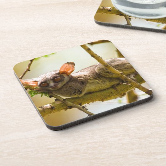 The Senegal Bushbaby Untersetzer (Linke Seite)