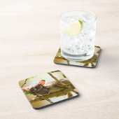 The Senegal Bushbaby Untersetzer (Rechte Seite)