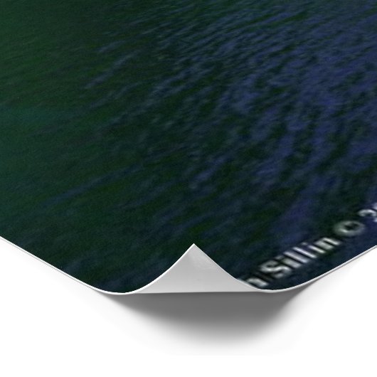 The Sentinel Poster (Ecke)