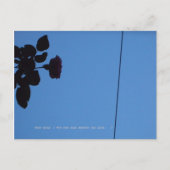 The shadow of a rose emerging darkly. postkarte (Vorderseite)