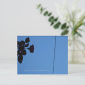 The shadow of a rose emerging darkly. postkarte (Stehend Vorderseite)