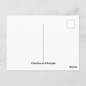 The Shambles, York Postcard Postkarte (Rückseite)