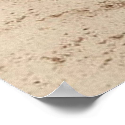 "The Shepherd"~Border Collie Poster (Ecke)