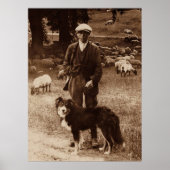 "The Shepherd"~Border Collie Poster (Vorne)