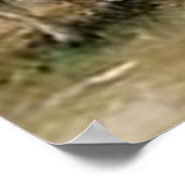 "The Shepherdess"~Border Collie Poster (Ecke)