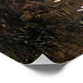 The Shrine, von John William Waterhouse - 1895 Poster (Ecke)