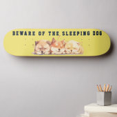 The Sleeping Shiba Street Custom Skateboard