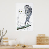 "The Snowy Owl ~offizieller Vogel von Quebec" Poster (Küche)