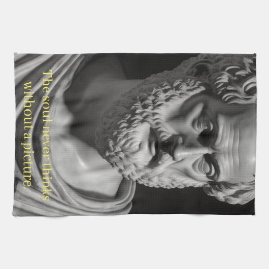 The soul never thinks without a picture geschirrtuch (Horizontal)