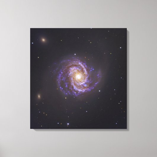 The Spiral Galaxy M100 und Supernova SN2006X Leinwanddruck (Vorderseite)