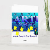 The Spirit of Australia - Koala Bären Windsurfen Karte (Rückseite)