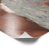 THE SQUIRREL (Sciurus vulgaris) Fotodruck (Ecke)