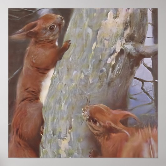THE SQUIRREL (Sciurus vulgaris) Poster (Vorne)