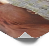 THE SQUIRREL (Sciurus vulgaris) Poster (Ecke)